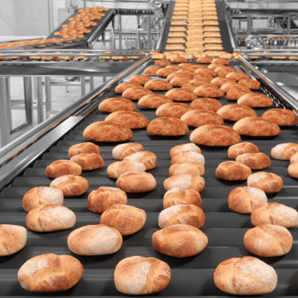 Production Lines